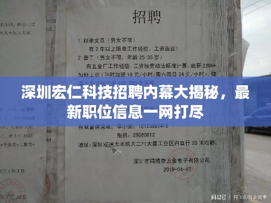 深圳宏仁科技招聘内幕大揭秘，最新职位信息一网打尽