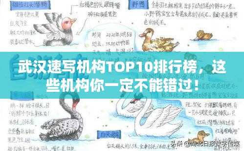 武汉速写机构TOP10排行榜，这些机构你一定不能错过！