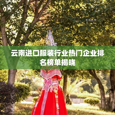 云南进口服装行业热门企业排名榜单揭晓