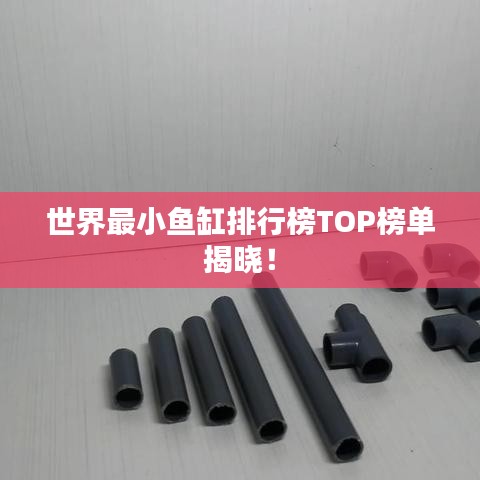 世界最小鱼缸排行榜TOP榜单揭晓！