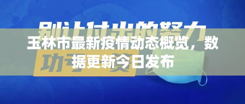 玉林市最新疫情动态概览，数据更新今日发布