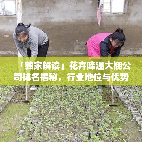 「独家解读」花卉降温大棚公司排名揭秘，行业地位与优势深度剖析！