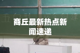 商丘最新热点新闻速递