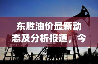 东胜油价最新动态及分析报道，今日油价与市场走势揭秘