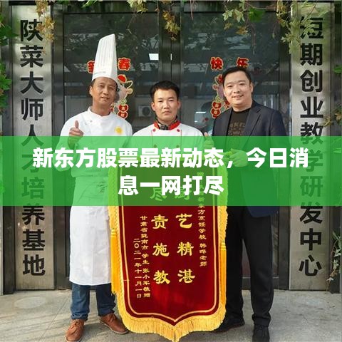 新东方股票最新动态，今日消息一网打尽