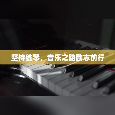 坚持练琴，音乐之路励志前行