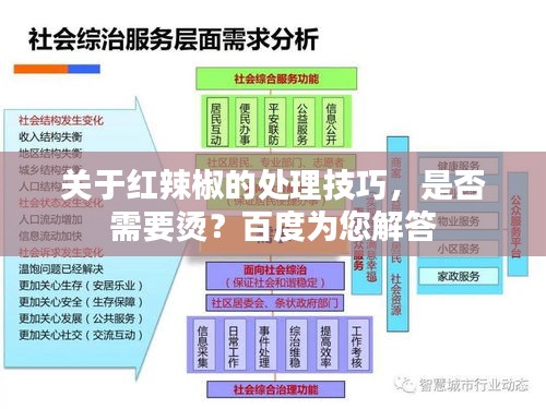 关于红辣椒的处理技巧，是否需要烫？百度为您解答