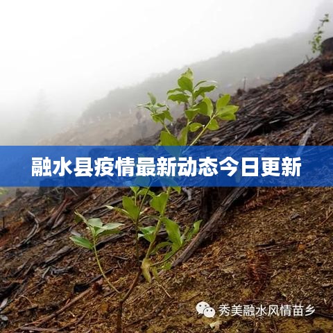 融水县疫情最新动态今日更新