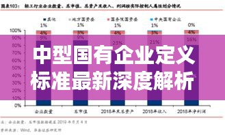 中型国有企业定义标准最新深度解析