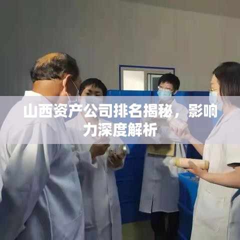 山西资产公司排名揭秘，影响力深度解析