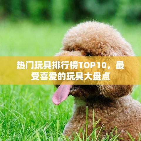 热门玩具排行榜TOP10，最受喜爱的玩具大盘点