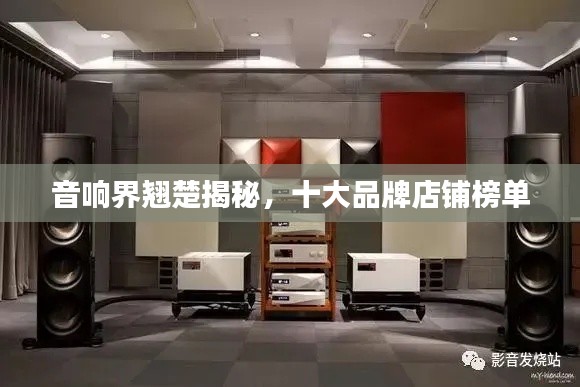 音响界翘楚揭秘，十大品牌店铺榜单