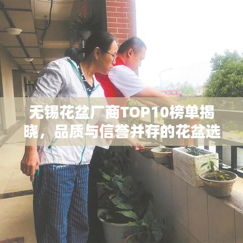 无锡花盆厂商TOP10榜单揭晓，品质与信誉并存的花盆选购指南