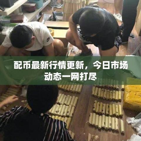 配币最新行情更新，今日市场动态一网打尽