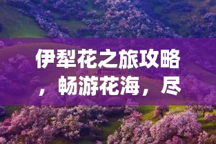 伊犁花之旅攻略，畅游花海，尽享绝美风光！