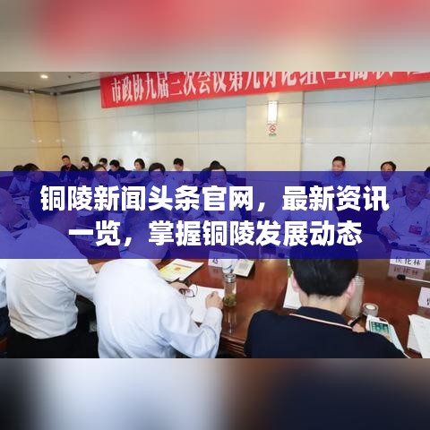 铜陵新闻头条官网，最新资讯一览，掌握铜陵发展动态