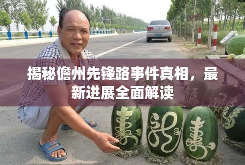 揭秘儋州先锋路事件真相，最新进展全面解读