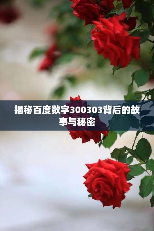 揭秘百度数字300303背后的故事与秘密