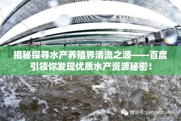 揭秘探寻水产养殖界清流之源——百度引领你发现优质水产资源秘密！