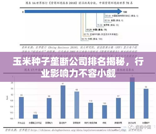 玉米种子垄断公司排名揭秘，行业影响力不容小觑