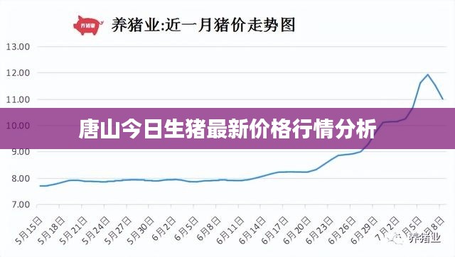 唐山今日生猪最新价格行情分析