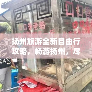 扬州旅游全新自由行攻略，畅游扬州，尽享美景美食！