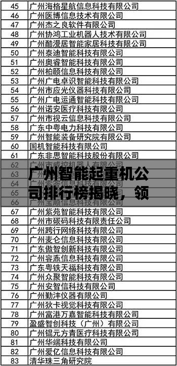 广州智能起重机公司排行榜揭晓，领先企业一览