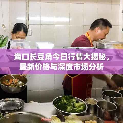 澹泊明志