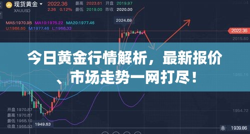 今日黄金行情解析，最新报价、市场走势一网打尽！