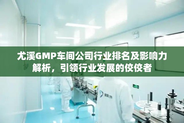 尤溪GMP车间公司行业排名及影响力解析，引领行业发展的佼佼者