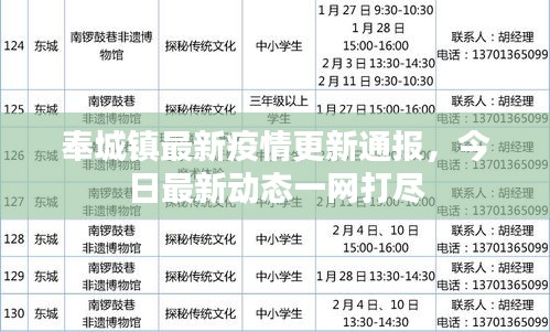 奉城镇最新疫情更新通报，今日最新动态一网打尽