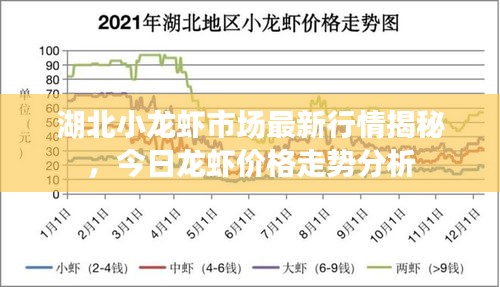 湖北小龙虾市场最新行情揭秘，今日龙虾价格走势分析