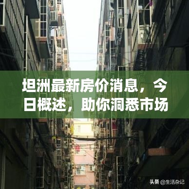 坦洲最新房价消息，今日概述，助你洞悉市场走势！