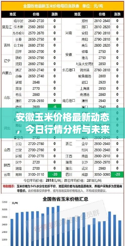 安徽玉米价格最新动态，今日行情分析与未来展望