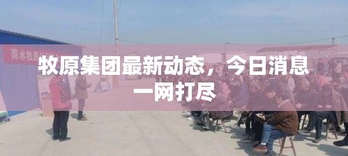 牧原集团最新动态，今日消息一网打尽