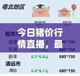 今日猪价行情直播，最新动态一网打尽