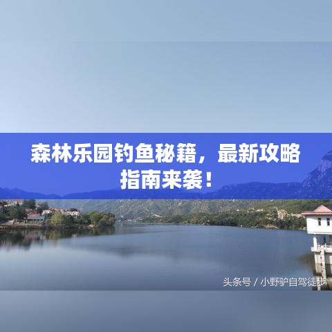 森林乐园钓鱼秘籍，最新攻略指南来袭！