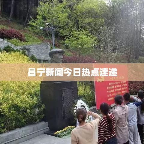 昌宁新闻今日热点速递