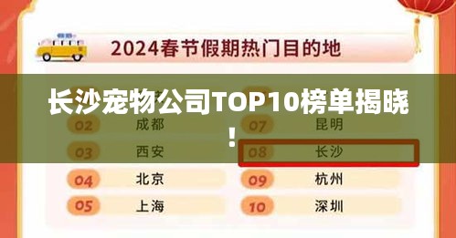 长沙宠物公司TOP10榜单揭晓！