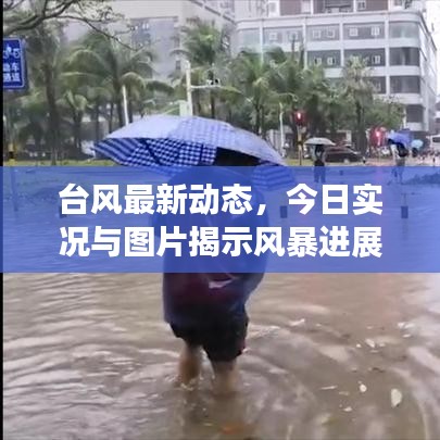 台风最新动态，今日实况与图片揭示风暴进展