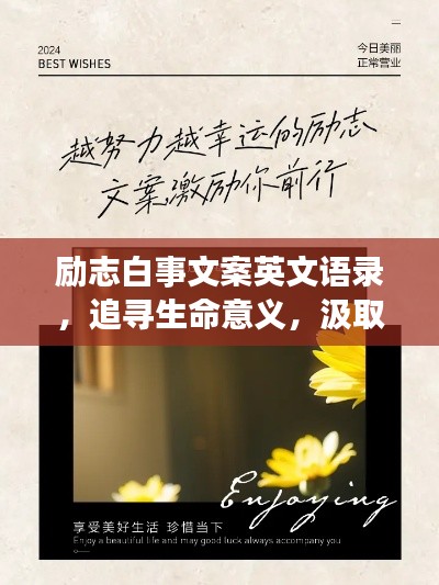 励志白事文案英文语录，追寻生命意义，汲取前行力量
