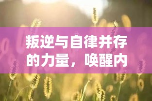 叛逆与自律并存的力量，唤醒内心的励志语录