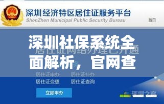 深圳社保系统全面解析，官网查询功能一网打尽！