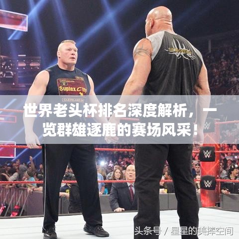 世界老头杯排名深度解析，一览群雄逐鹿的赛场风采！