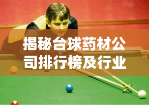 揭秘台球药材公司排行榜及行业影响力不容小觑