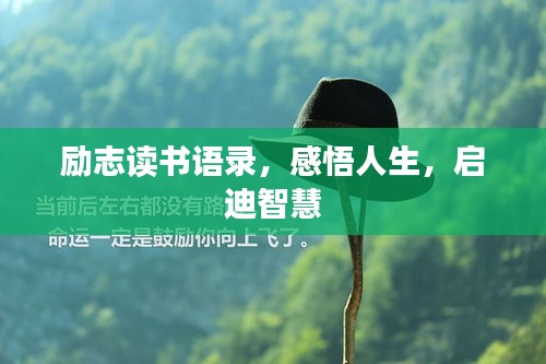 励志读书语录，感悟人生，启迪智慧