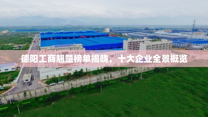 德阳工商翘楚榜单揭晓，十大企业全景概览