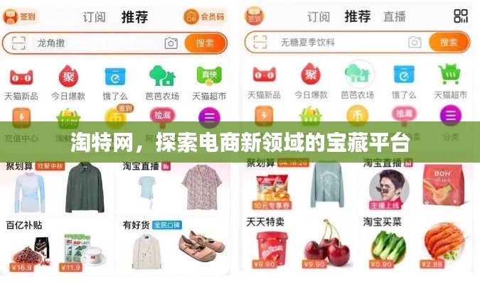 淘特网，探索电商新领域的宝藏平台