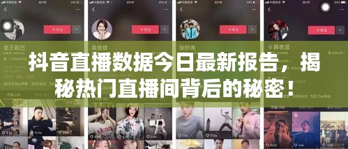 抖音直播数据今日最新报告，揭秘热门直播间背后的秘密！