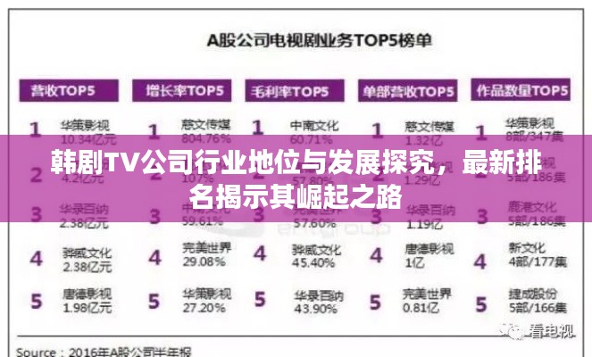韩剧TV公司行业地位与发展探究，最新排名揭示其崛起之路